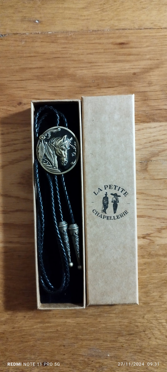 Bolo Tie, également appelé cravate Texane,est une sorte de cravate généralement associée avec l'habit traditionnel du cowboy.Le bolo a été inventé par Vic Cedarstaff à Wickenburg en Arizona et reçu, par la suite ,un brevet.