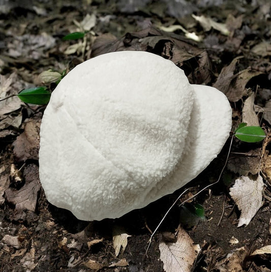 Casquette Gavroche Sherpa no3 réf :9461